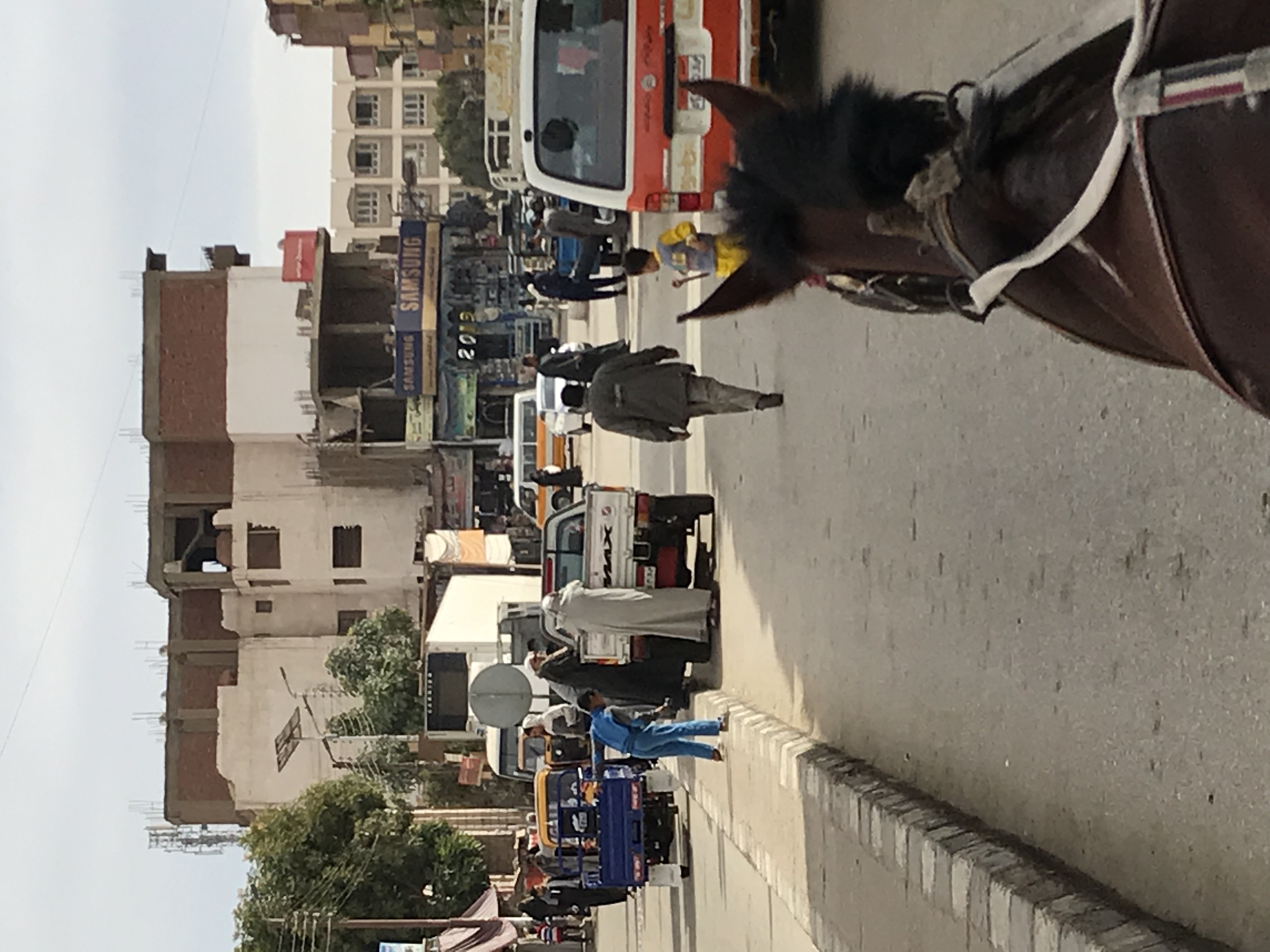 ./2018/16 - Egypt/11 - Edfu/IMG_4150.jpg